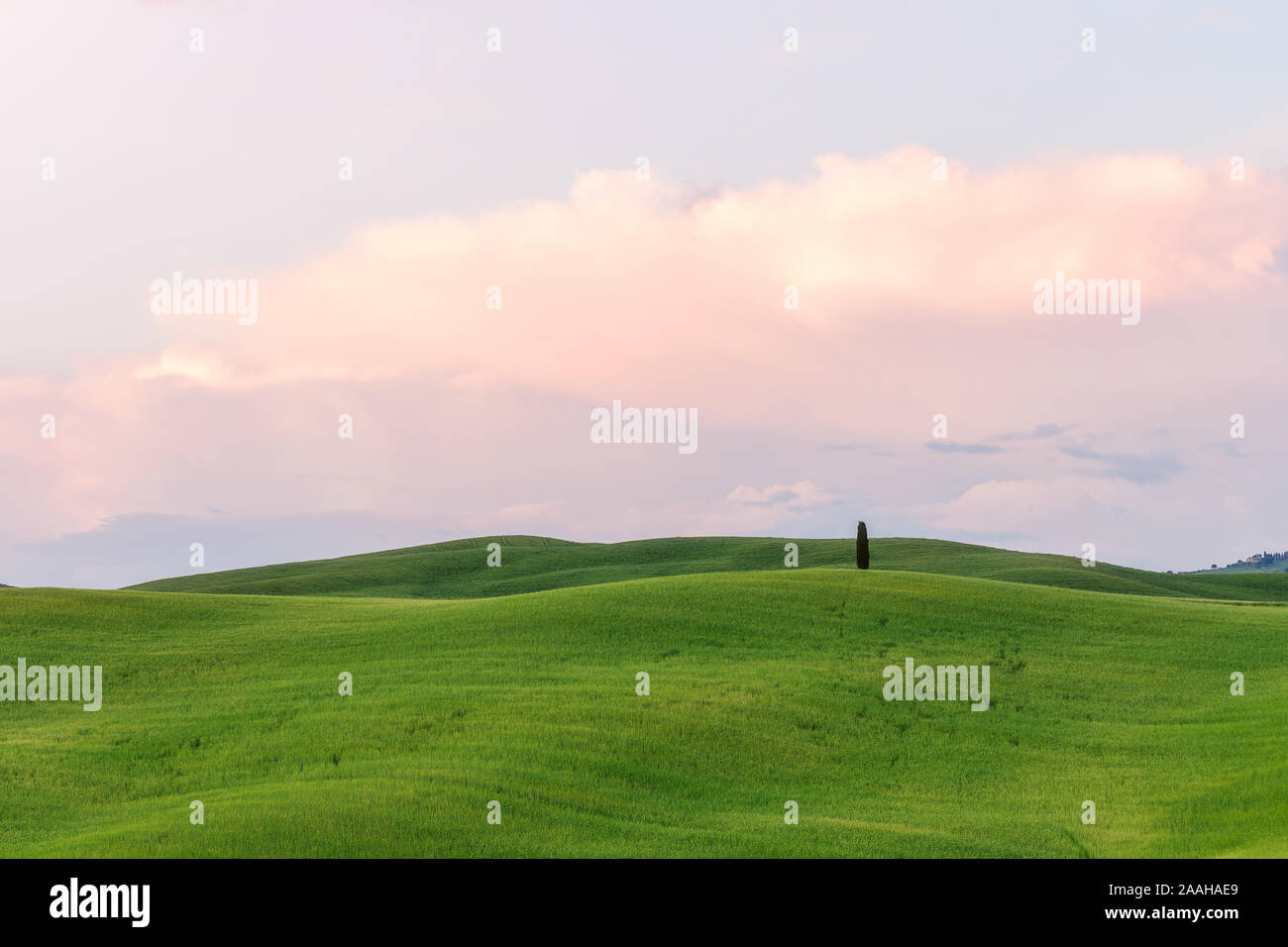Beautiful countryside landscapes in Tuscany with rolling hills during the sunset Stock Photo