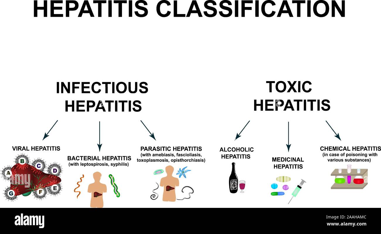 Types Of Viral Hepatitis Hepatitis A B C D E F G World Hepatitis Day Infographics Vector Illustration On Isolated Background Stock Vector Image Art Alamy