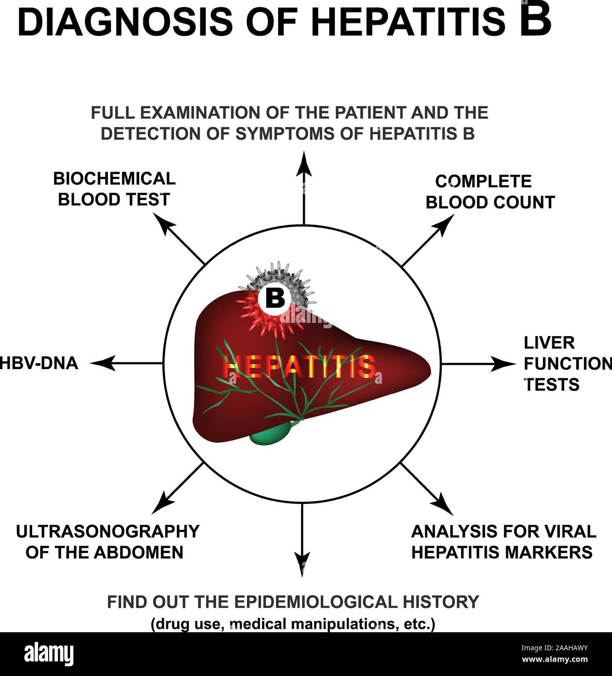 Diagnosis of hepatitis B. World Hepatitis Day. Infographics. Vector