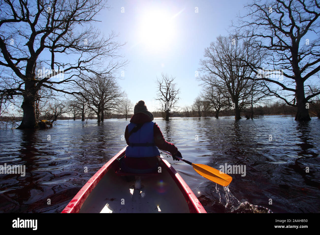 Fifth season canoeing trip in Soomaa National Park, woman on canoe with paddle sailing in flooded spring forest, Estonia Stock Photo