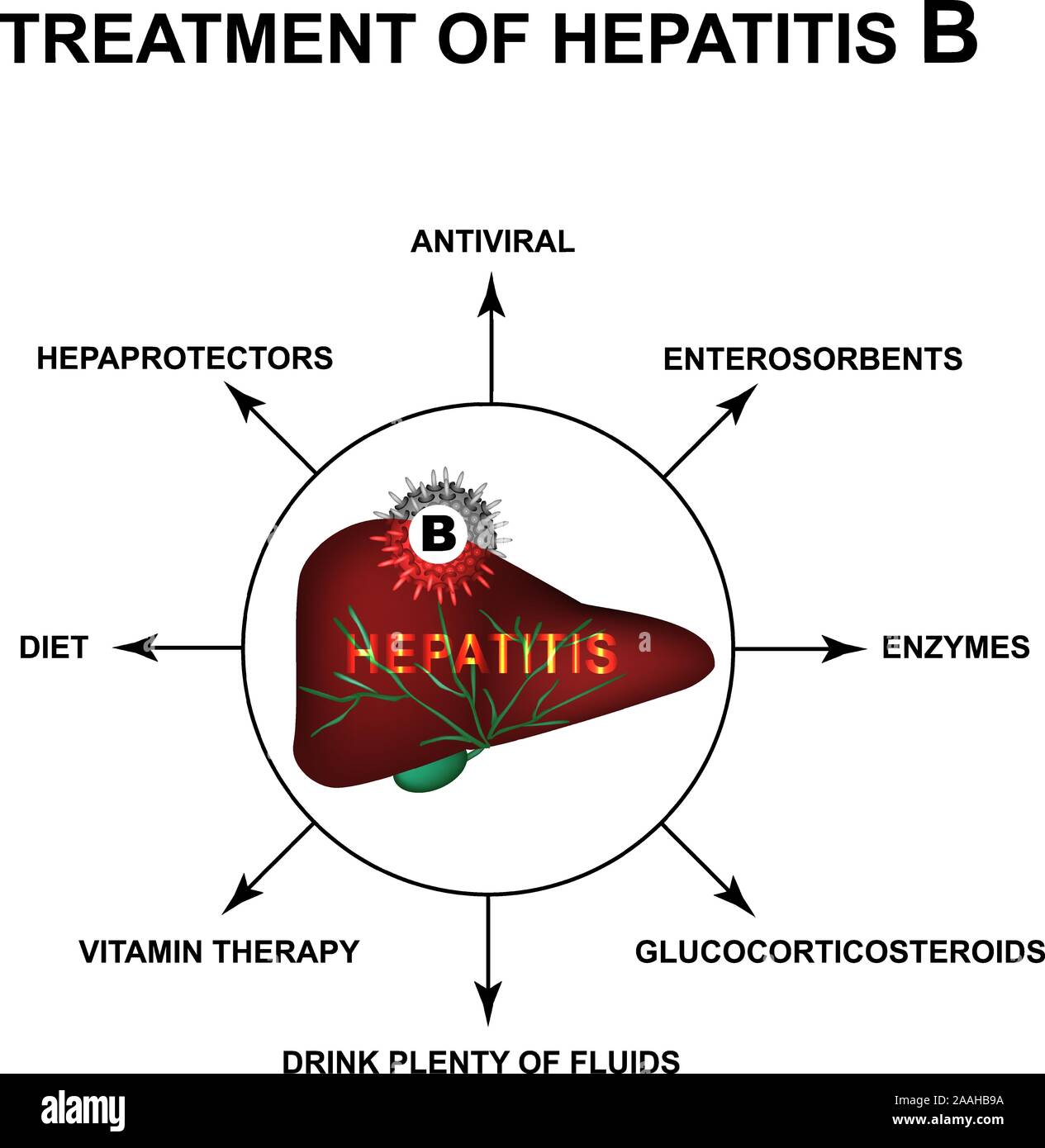 Treatment of hepatitis B. World Hepatitis Day. Infographics. Vector