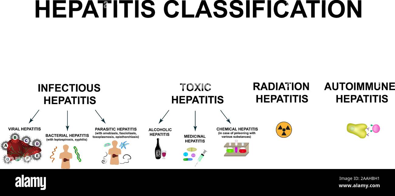 Types Of Viral Hepatitis Classification Of Hepatitis A B C D E F G Toxic Infectious Autoimmune Radiation Hepatitis World Hepatitis Day Stock Vector Image Art Alamy
