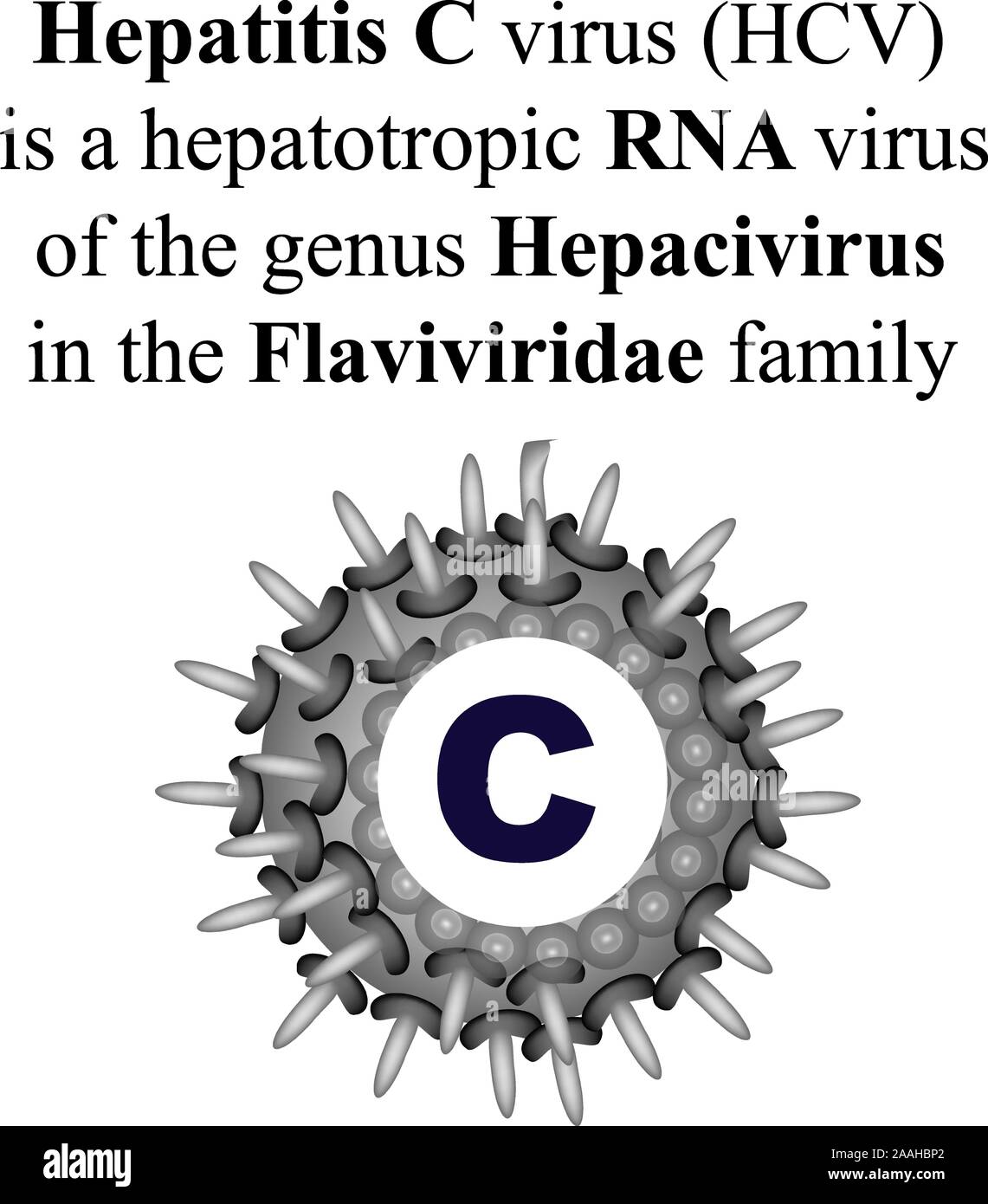 Hepatitis C. World Hepatitis Day. Infographics. Vector illustration on isolated background. Stock Vector