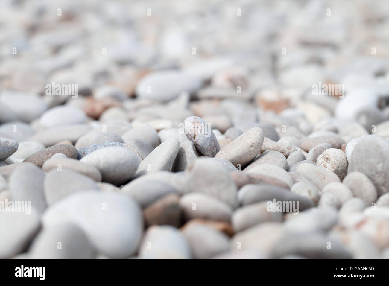White pebble on a sea coast, natural background photo with soft selective focus Stock Photo