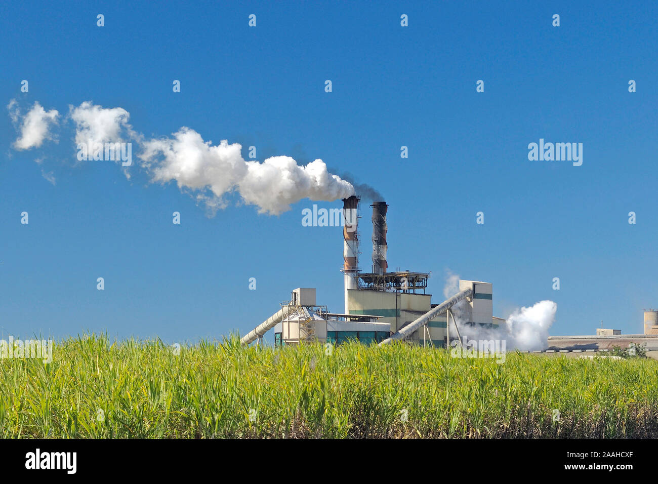 Zuckerrohrfeld mit dahinter liegender Zuckerfabrik, Queensland, Australien Stock Photo