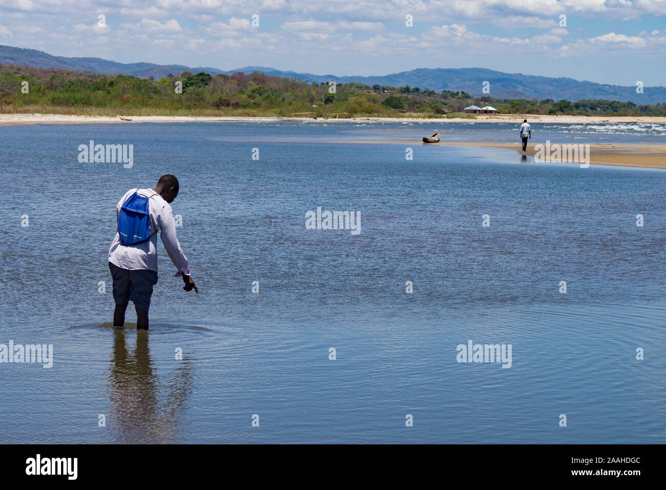 A member of a lake shore fish conservation committee in Malawi points at small chambo fish (Oreochromis lidole) in a pool Stock Photo