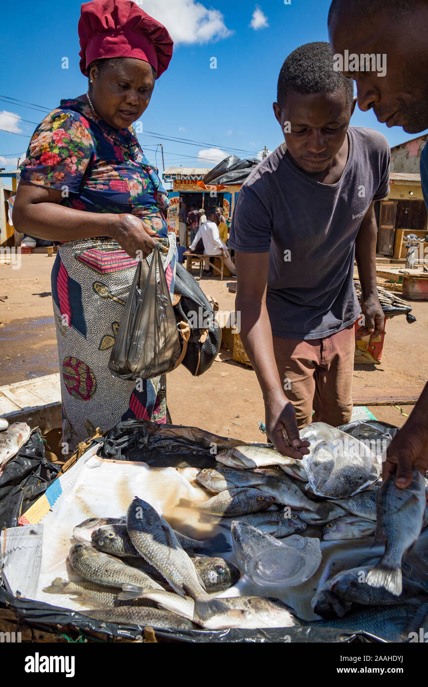 A women in Mzuzu market, Malawi, buys fresh fish caught from Lake Malawi Stock Photo
