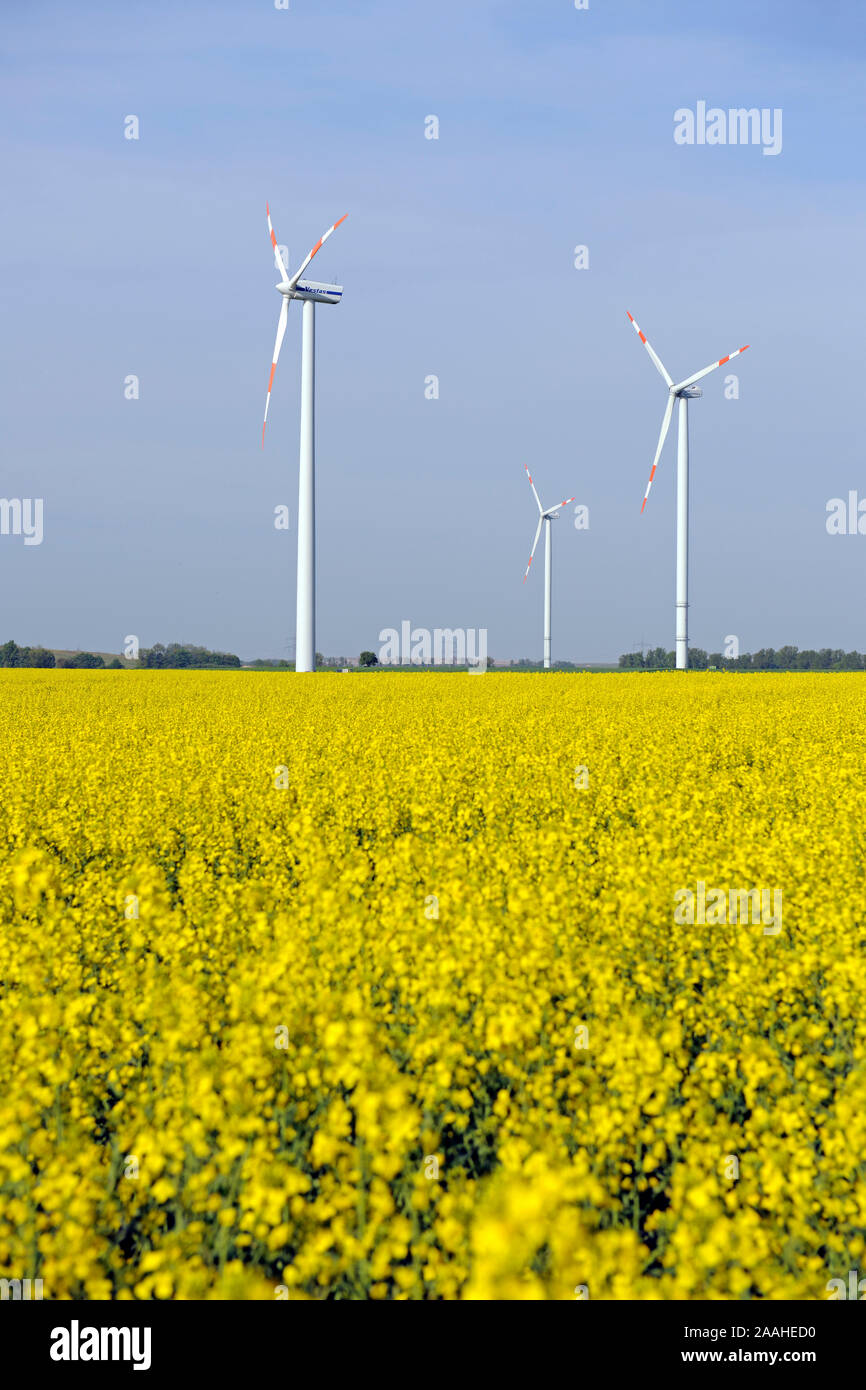 Windkraftanlagen in Rapsfeld (Brassica napus) erneuerbare Energie Stock Photo