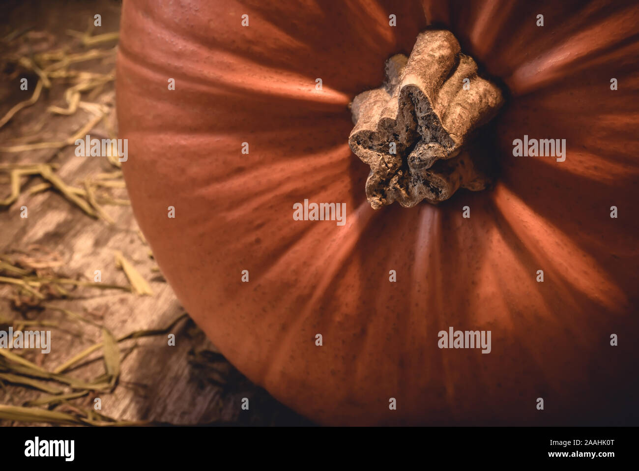 Closeup of big orange seasonal autumn pumpkin with stem on rural natural wood and hay in the countryside -Concept of traditional halloween celebration Stock Photo