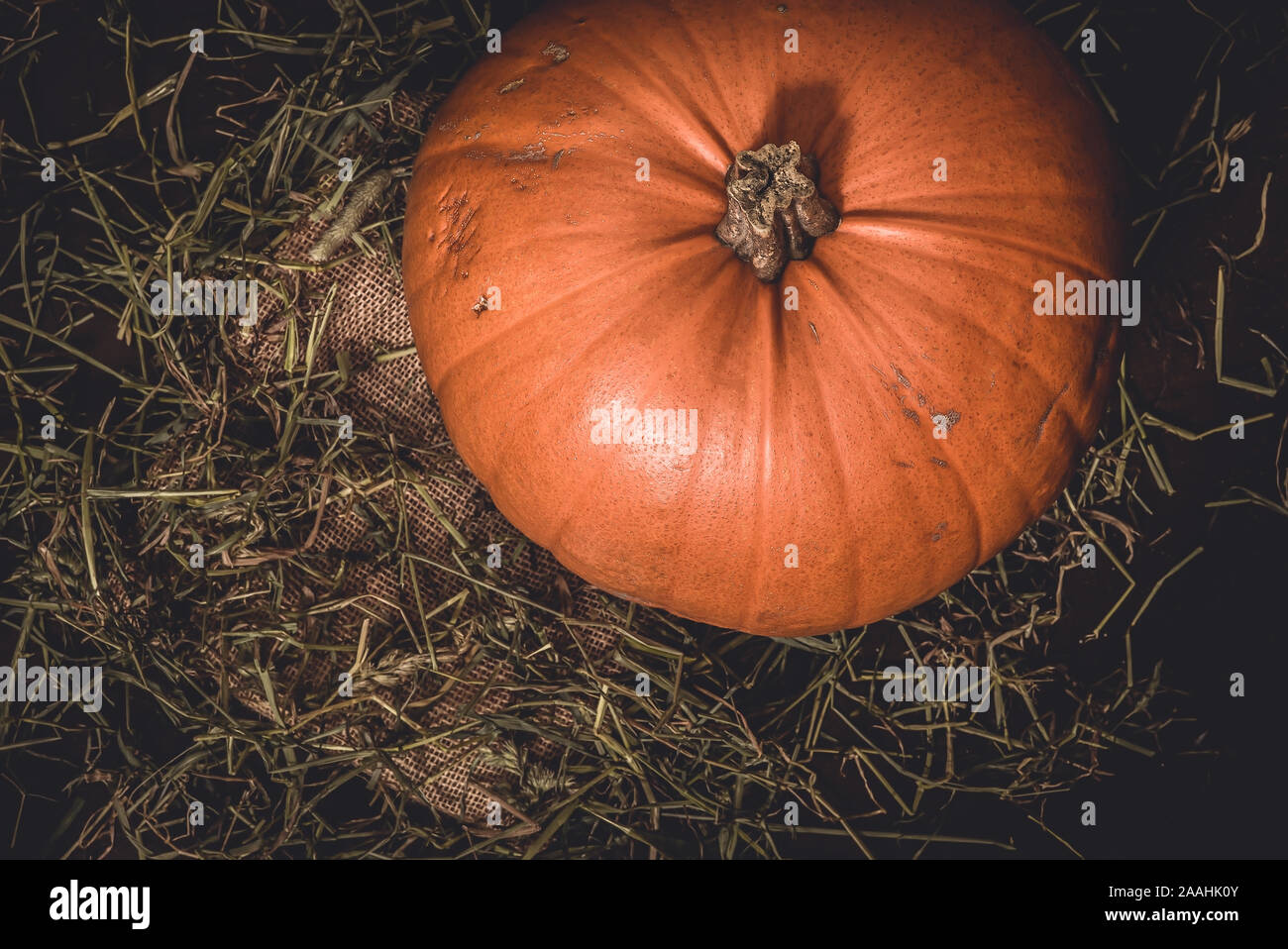 Top view of rustic, large orange pumpkin from homegrown organic harvest on dark wood background with hay in the countryside - Concept of thanksgiving. Stock Photo