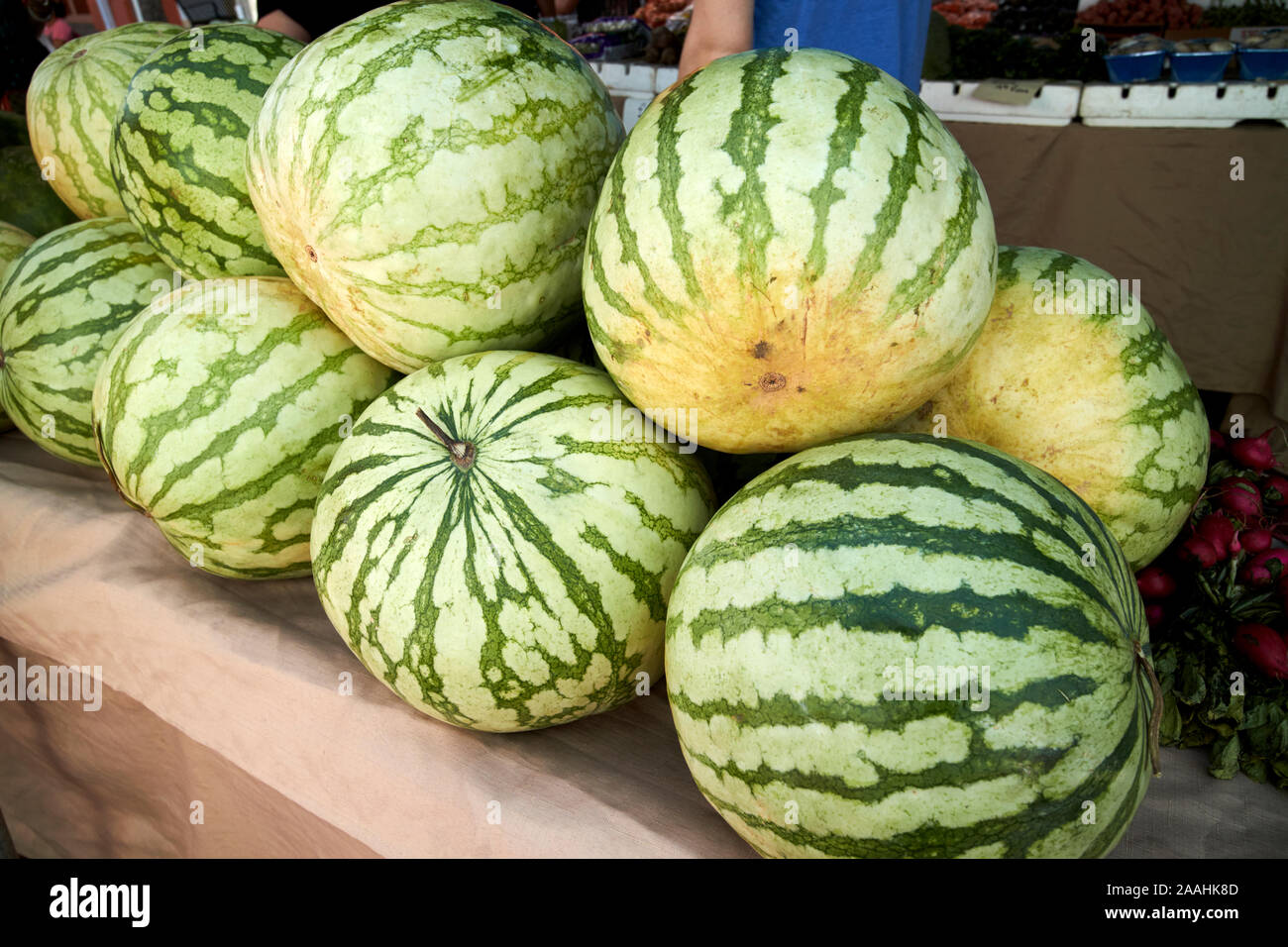 watermelons for sale at a farmers market local produce in celebration florida usa Stock Photo