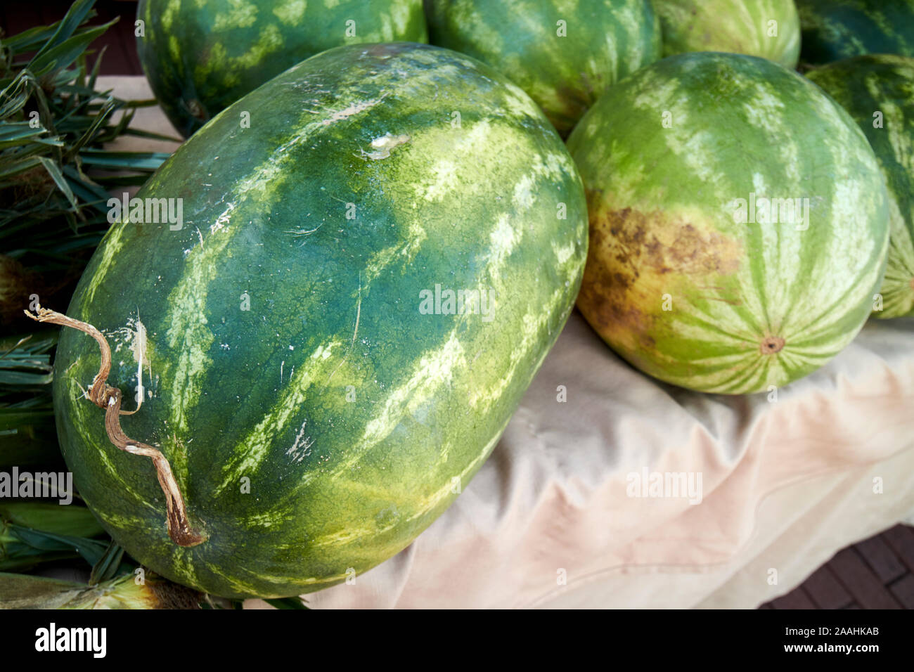 watermelons for sale at a farmers market local produce in celebration florida usa Stock Photo