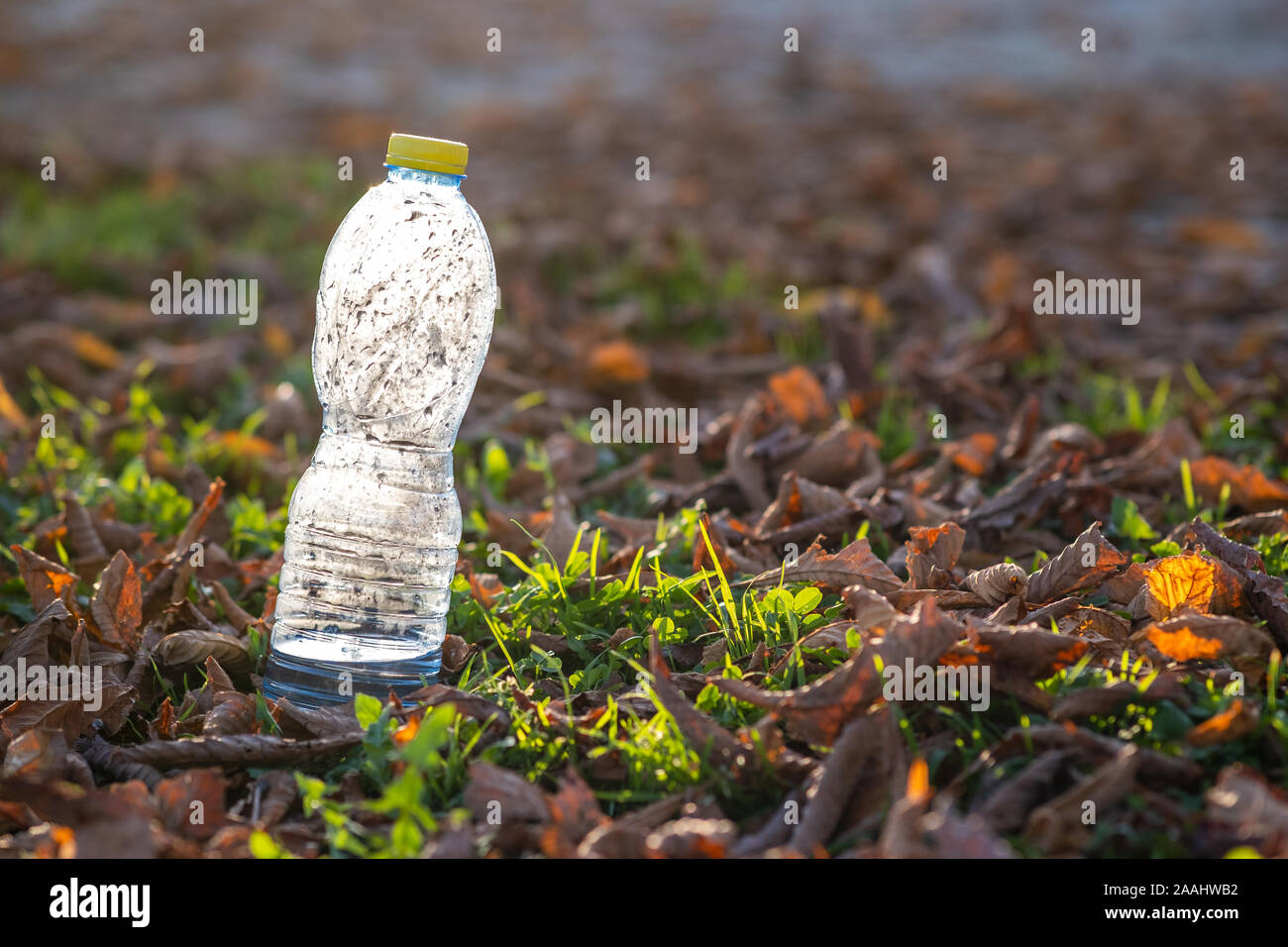 Used plastic bottle thrown away on grass covered ground outdoors. Pollution of nature concept. Stock Photo