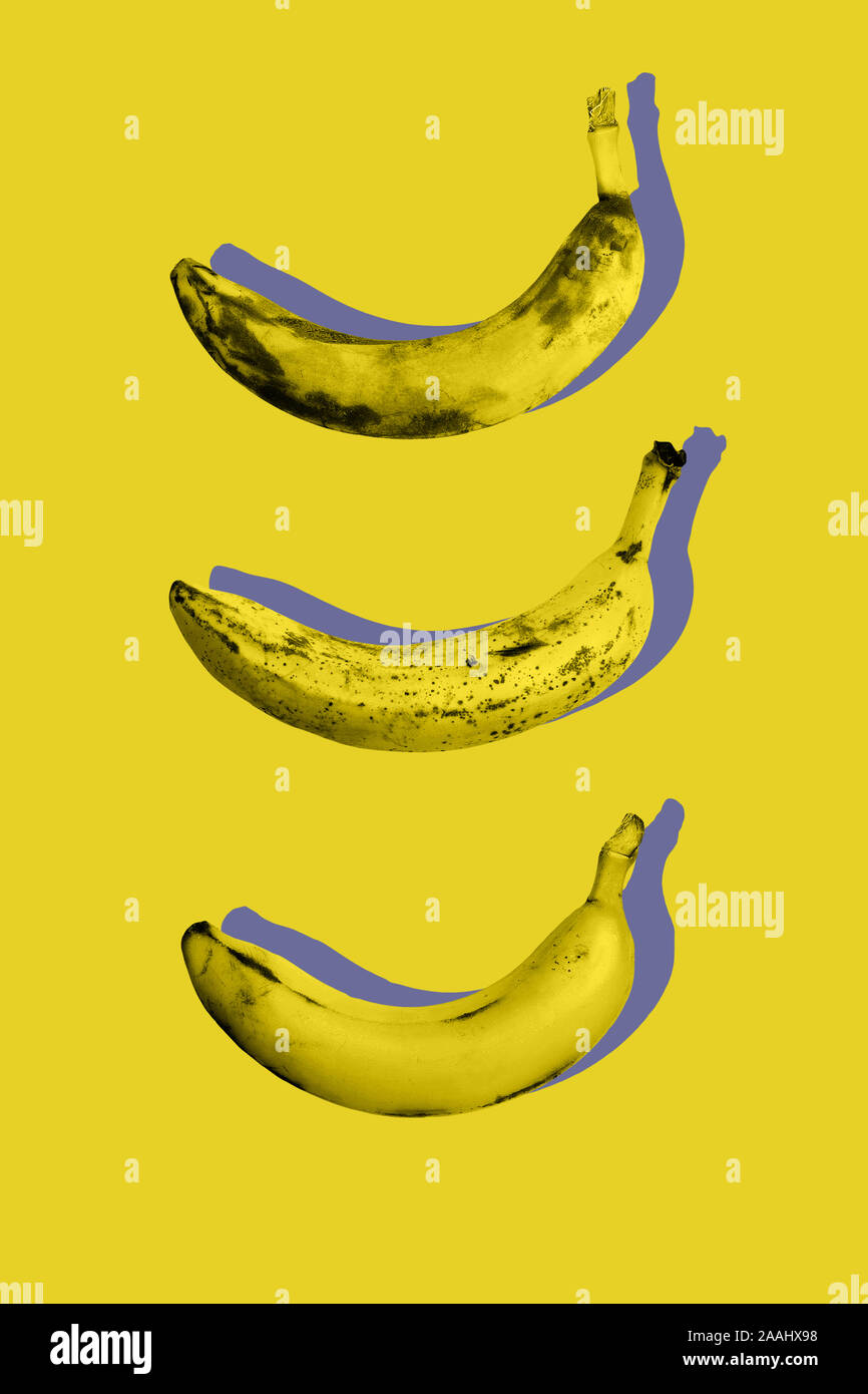 https://c8.alamy.com/comp/2AAHX98/photography-minimal-art-collage-of-ugly-ripe-fruit-bananas-on-yellow-color-background-in-trendy-pop-art-styletop-view-flat-lay-isometric-pattern-2AAHX98.jpg