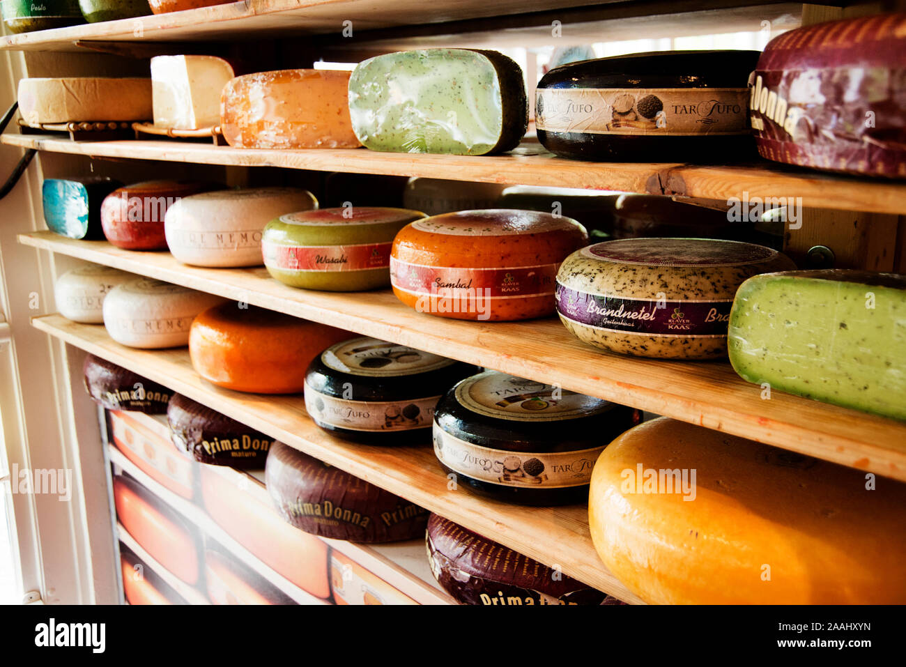 Amsterdam Cheese Museum, showing various colourful cheese roundels on