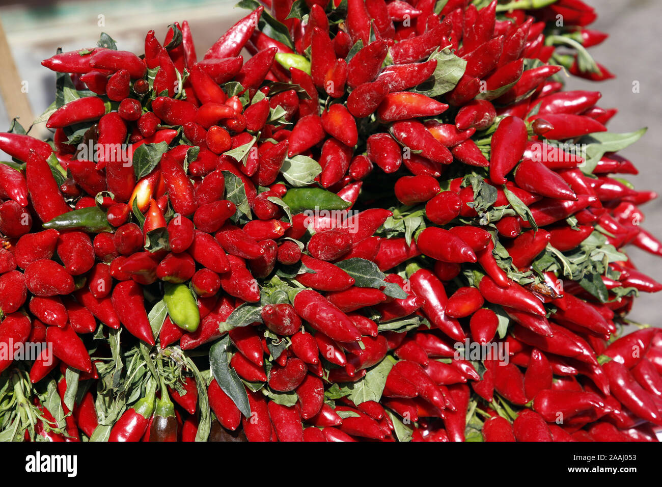 Hot Red Chilli Peppers on sale in Palermo Market, Sicily Stock Photo