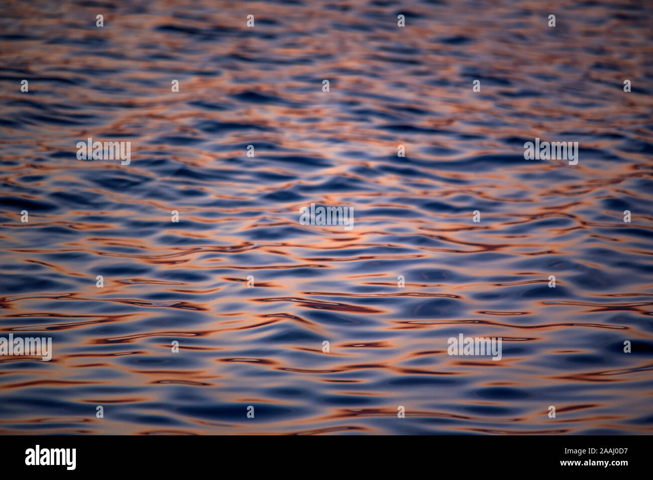 Close-up of gentle sea waves in the golden sunlight. Light reflections on the water. Stock Photo