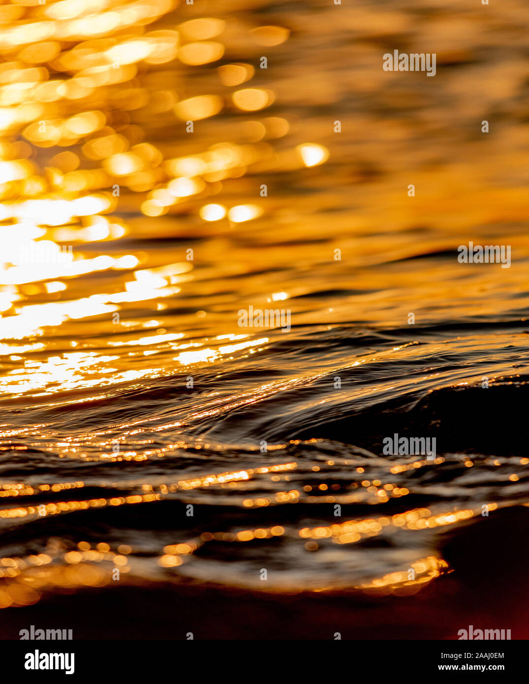 Close-up of sea waves and water movement on the surface of the sea in the golden sunlight. Light reflections on the water. Stock Photo