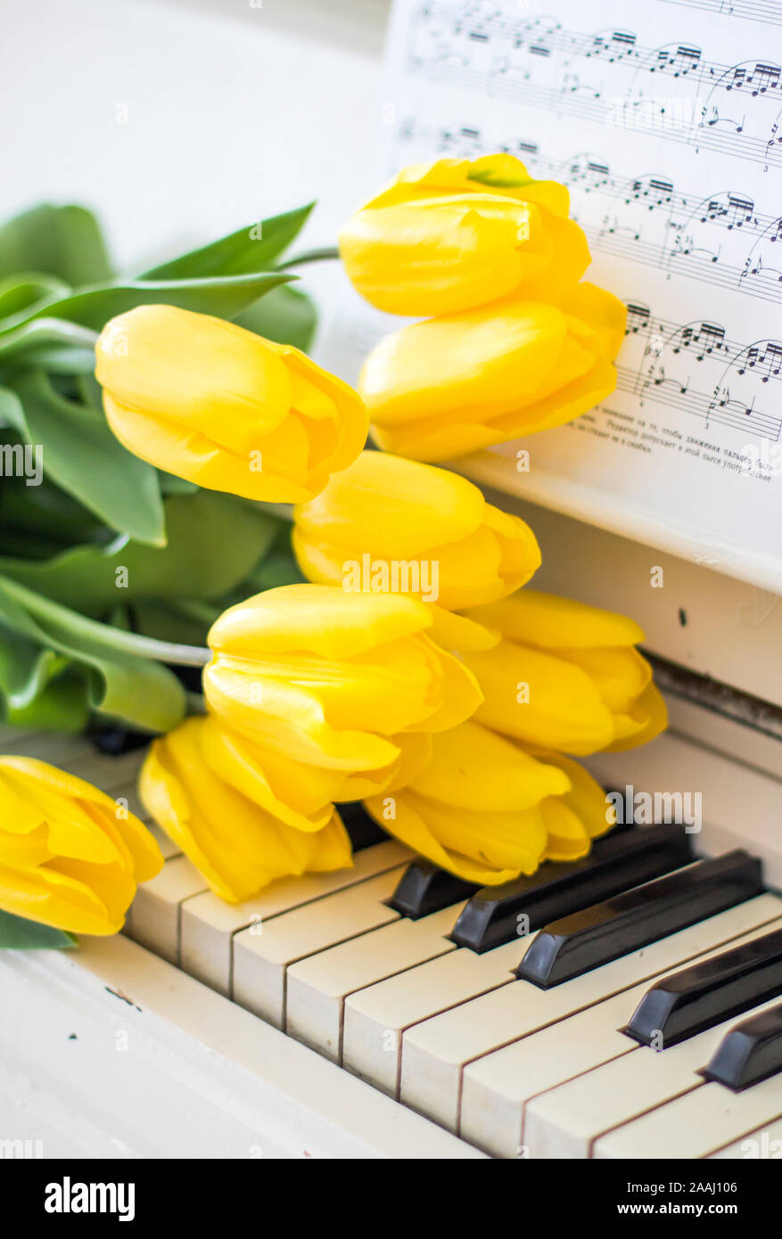 Tulips Piano Stock Photos Tulips Piano Stock Images Alamy