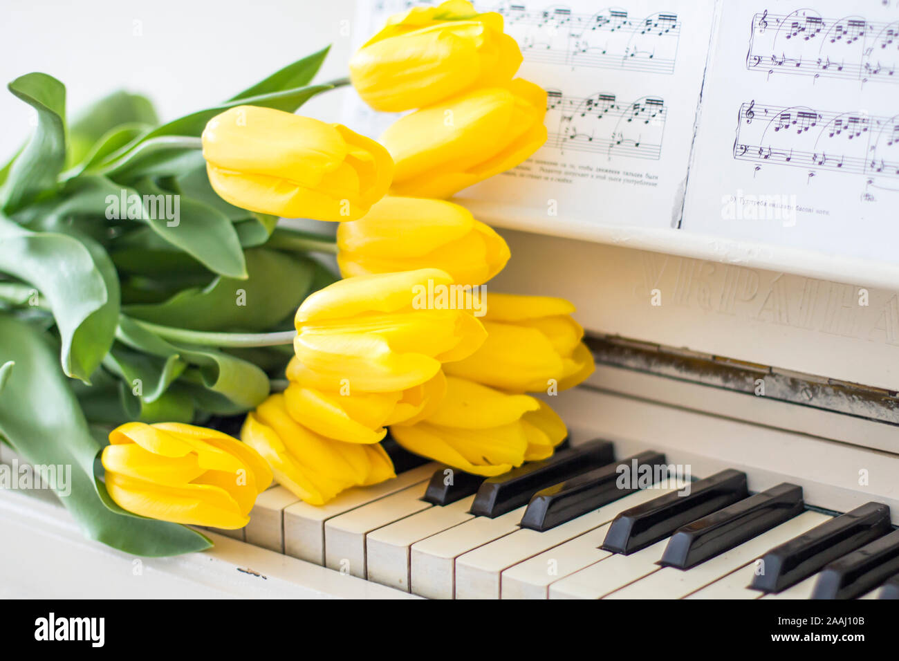 Tulips Piano Stock Photos Tulips Piano Stock Images Alamy