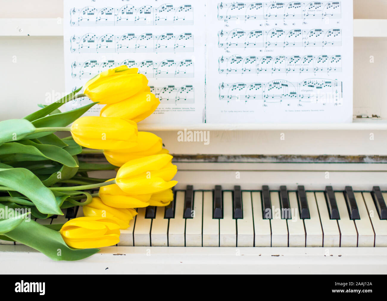 Tulips Piano Stock Photos Tulips Piano Stock Images Alamy