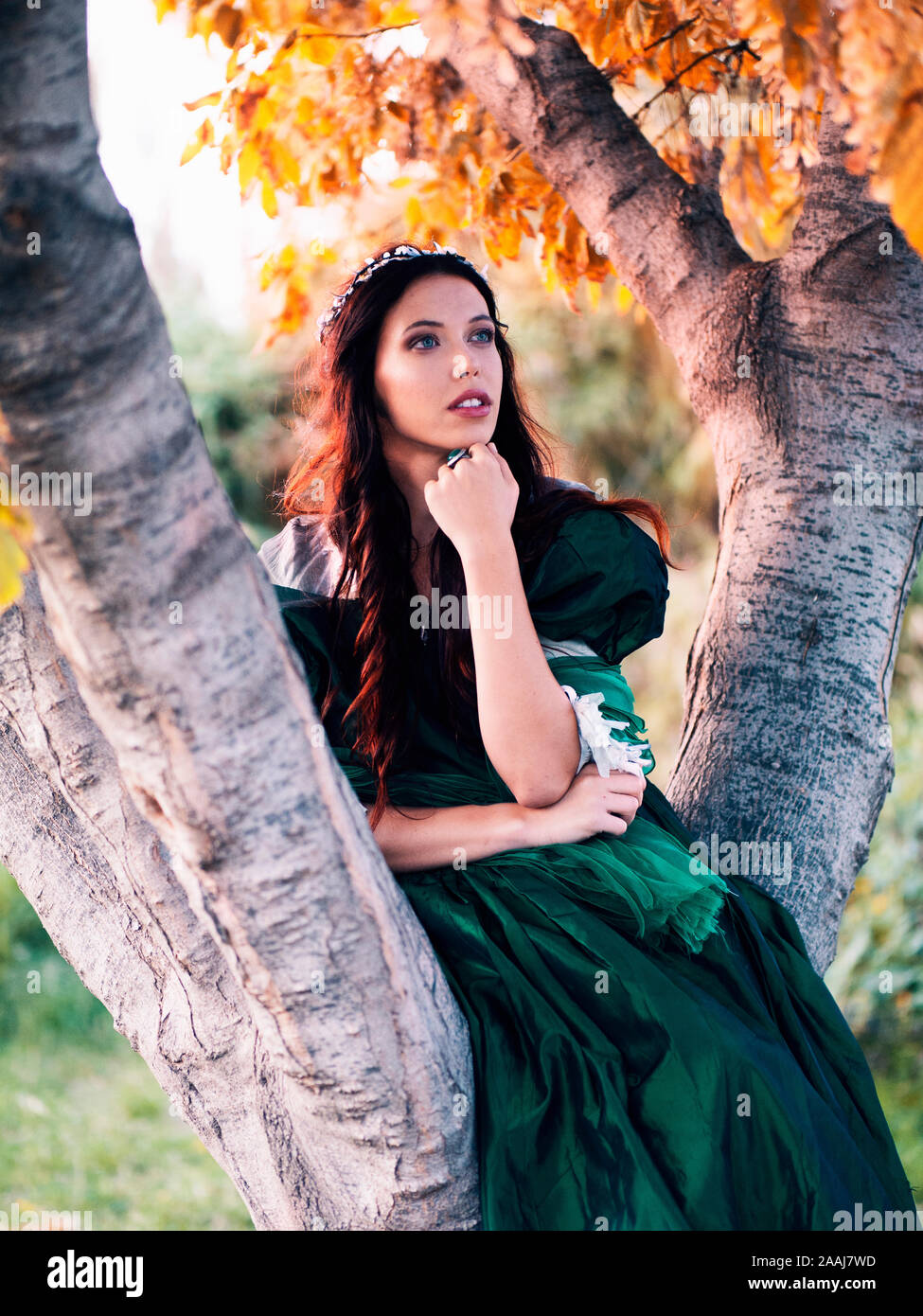 beautiful young woman in green vintage dress sitting in a tree Stock Photo