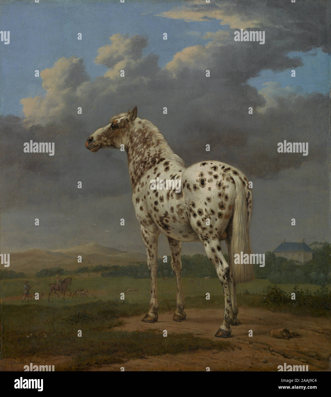 The 'Piebald' Horse; Paulus Potter (Dutch, 1625 - 1654); about 1650 - 1654; Oil on canvas; 50.2 × 45.1 cm (19 3/4 × 17 3/4 in.); 88.PA.87 Stock Photo