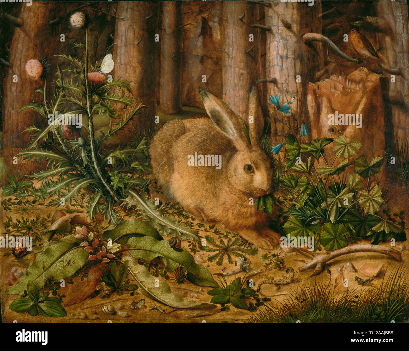 A Hare in the Forest; Hans Hoffmann (German, about 1530 - 1591/1592); about 1585; Oil on panel; 62.2 × 78.4 cm (24 1/2 × 30 7/8 in.) Stock Photo