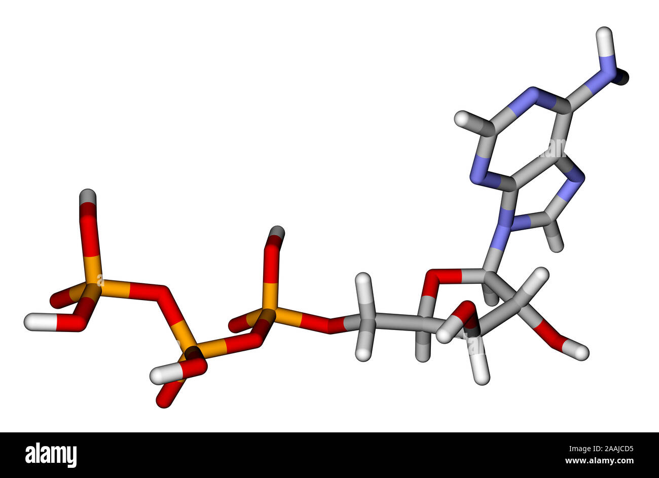 Adenosine triphosphate (ATP) sticks molecular model Stock Photo