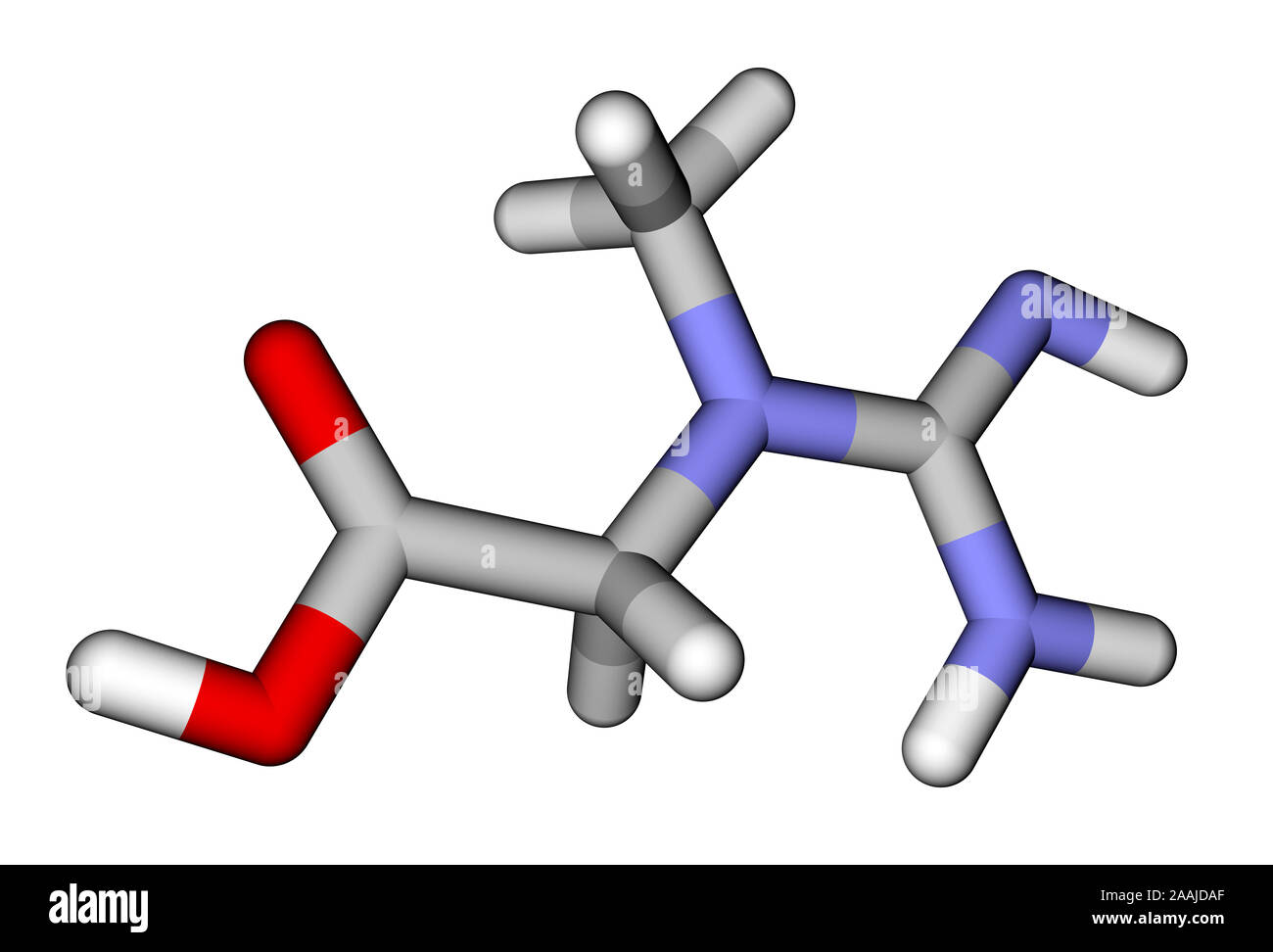 Creatine 3D molecular structure Stock Photo Alamy