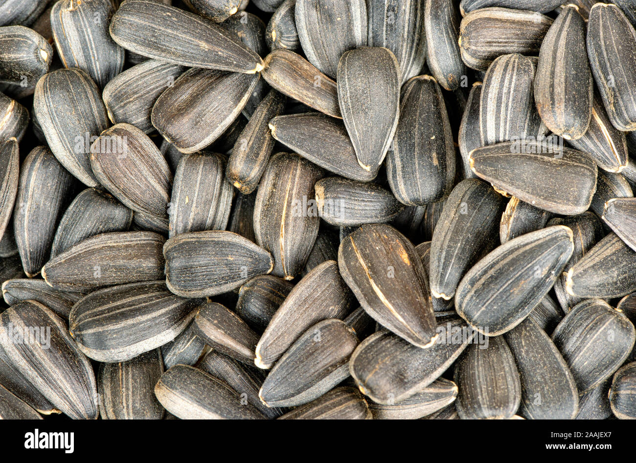 Seeds in black shell hi-res stock photography and images - Alamy