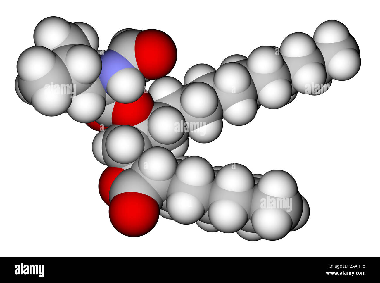 Morbid obesity hires stock photography and images Alamy