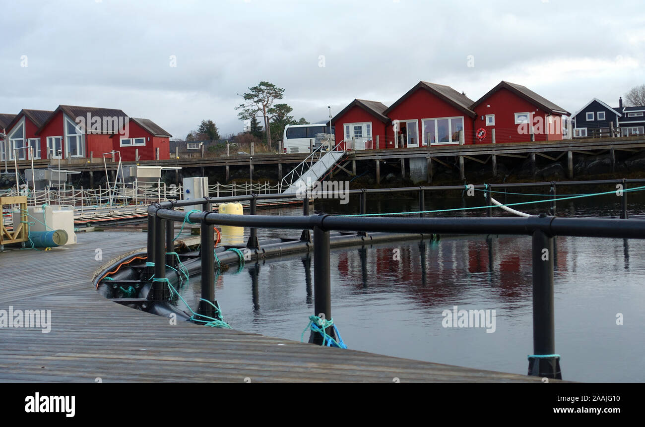 Salmon farming near Bronnoysund, Norway Stock Photo