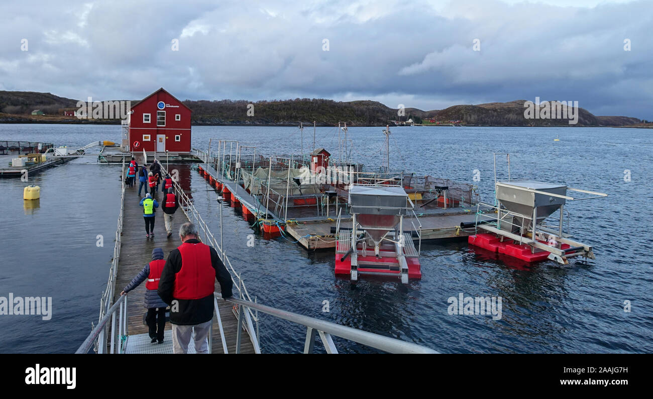 Salmon farming near Bronnoysund, Norway Stock Photo