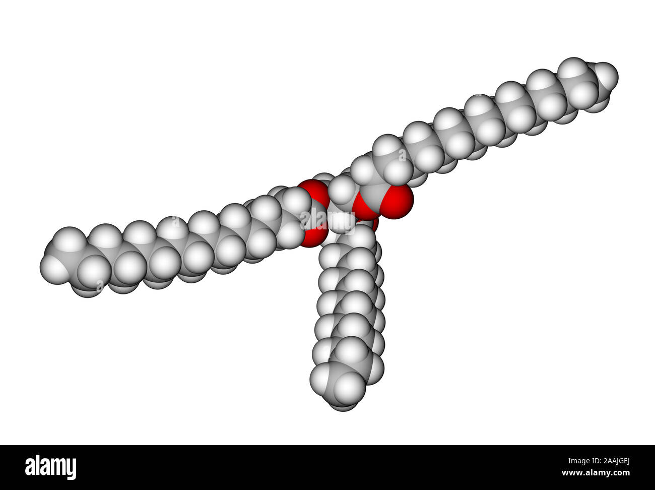 Triglyceride Structure Diagram Triglyceride Structure Diagram