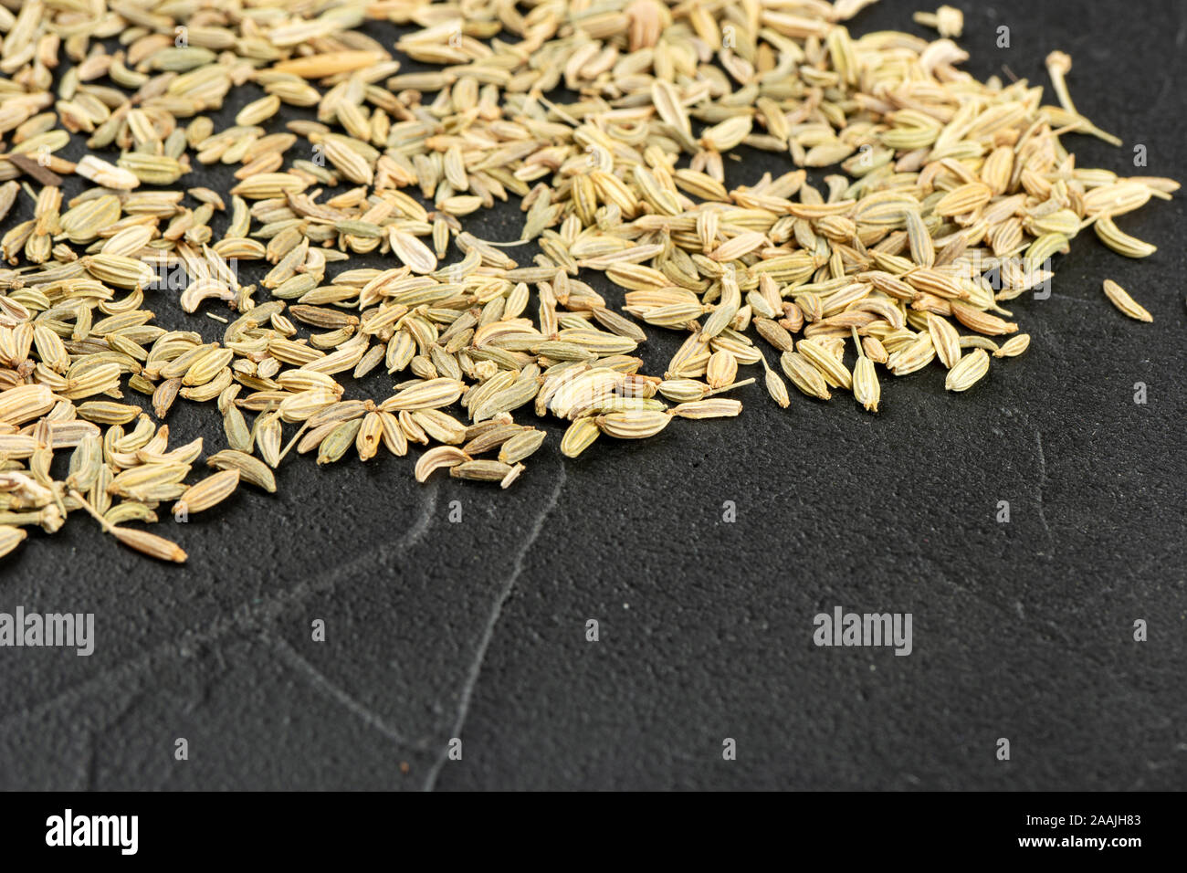 Spice fennel plant hires stock photography and images Alamy