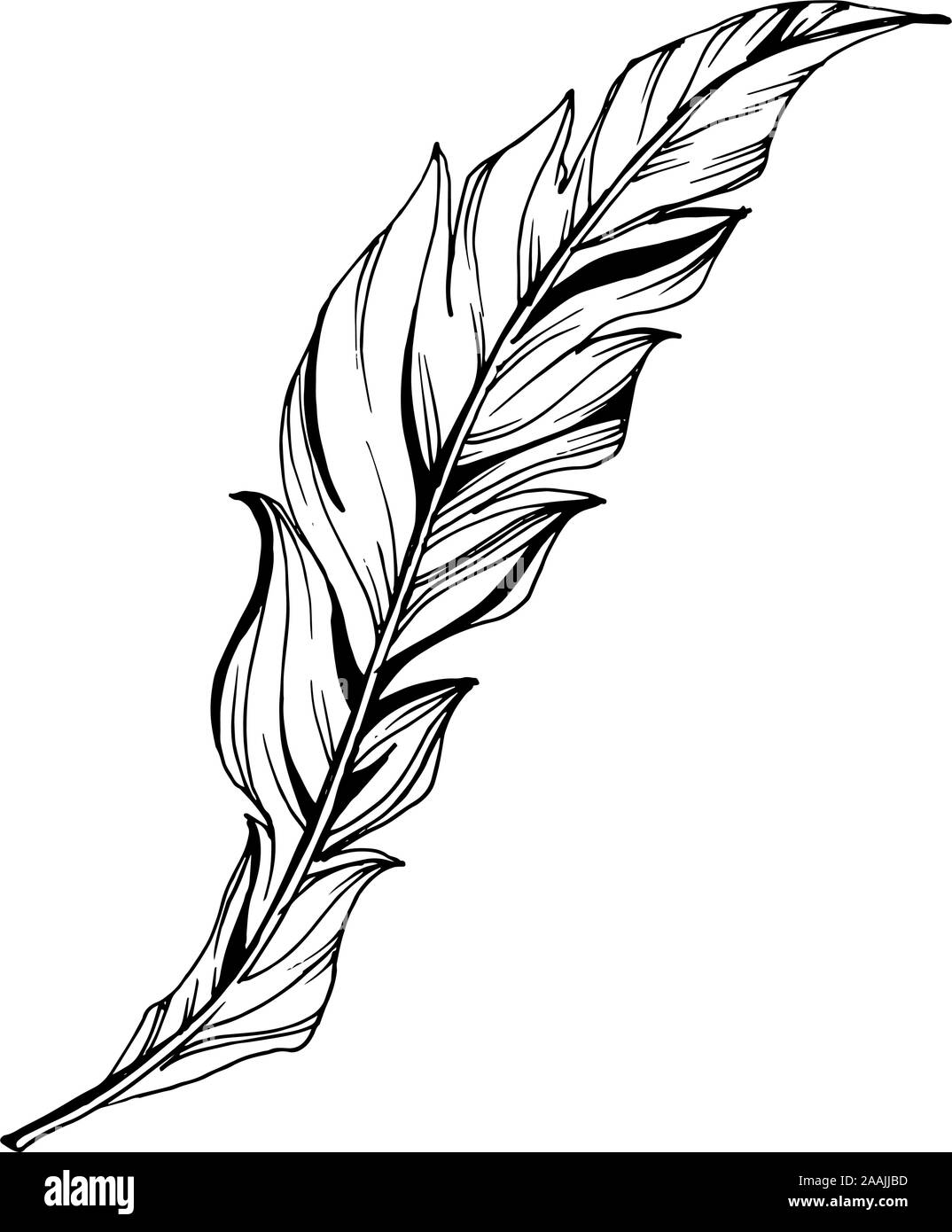 Feather Clip Art Black And White