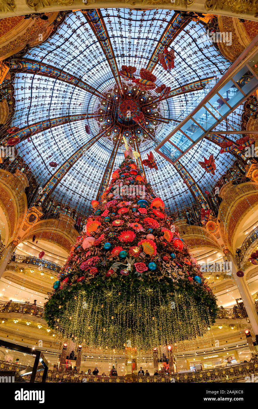 PARIS, FRANCE NOVEMBER 21, 2019 The 2019 Christmas Tree has arrived