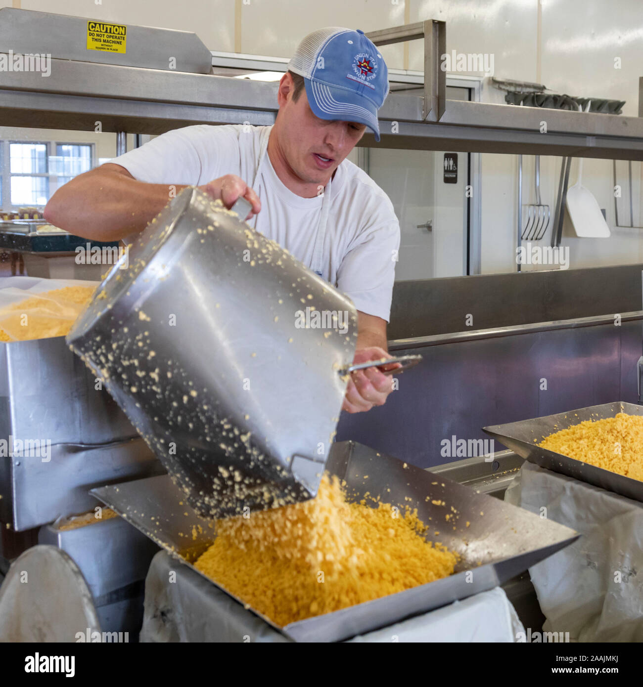 Auroraville, Wisconsin Master cheesemaker Jon Metzig makes colby