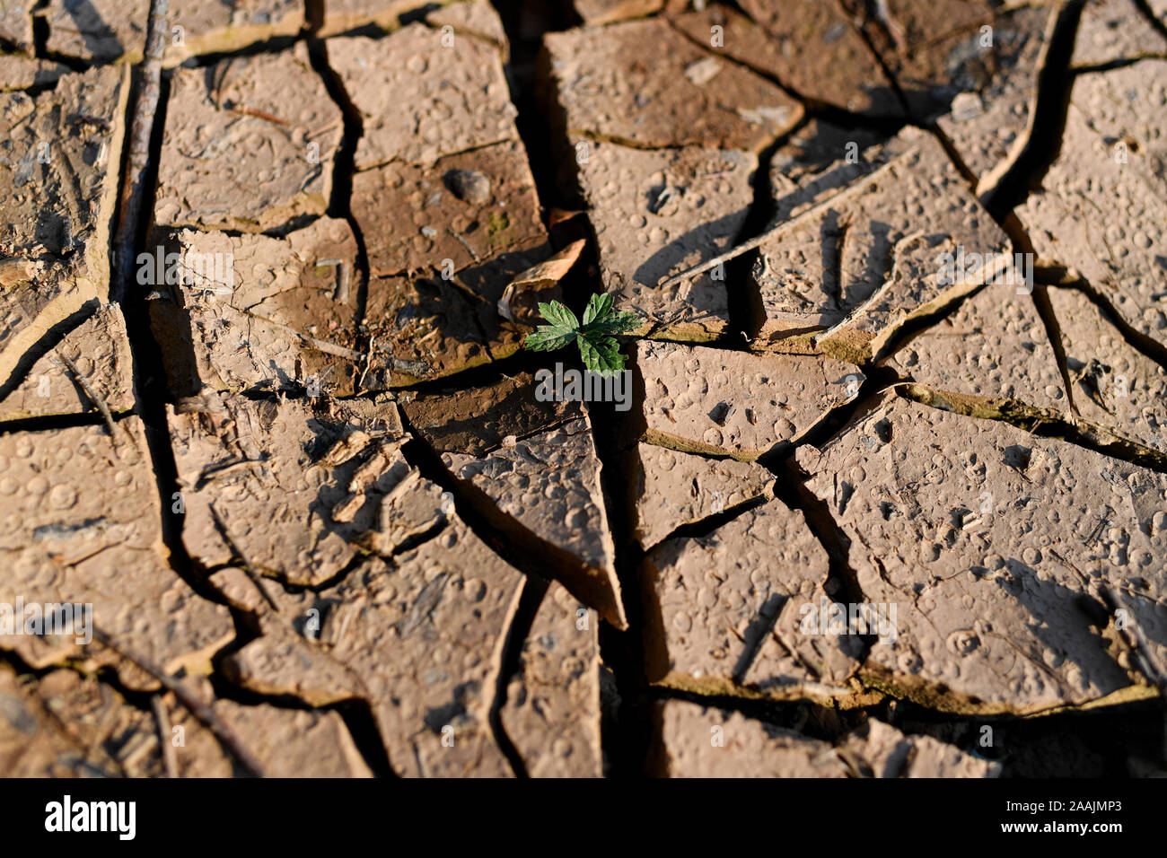 (191122) -- YICHENG COUNTY, Nov. 22, 2019 (Xinhua) -- Photo taken on July 4, 2019 shows cracks on a dried-up piece of land in Nanling Village of Yicheng County, north China's Shanxi Province.  As the switch was pulled, water spurted out from 403 meters down under. Nanling Village's very first deep-water well went into service on an early winter morning. In the past, the village, spreading across the ravines of the Zhongtiao Mountains in northern China, had relied solely on mud pits to store its valuable drinking water for centuries.   Haunted by the fear of drought, generations had dreamt of d Stock Photo