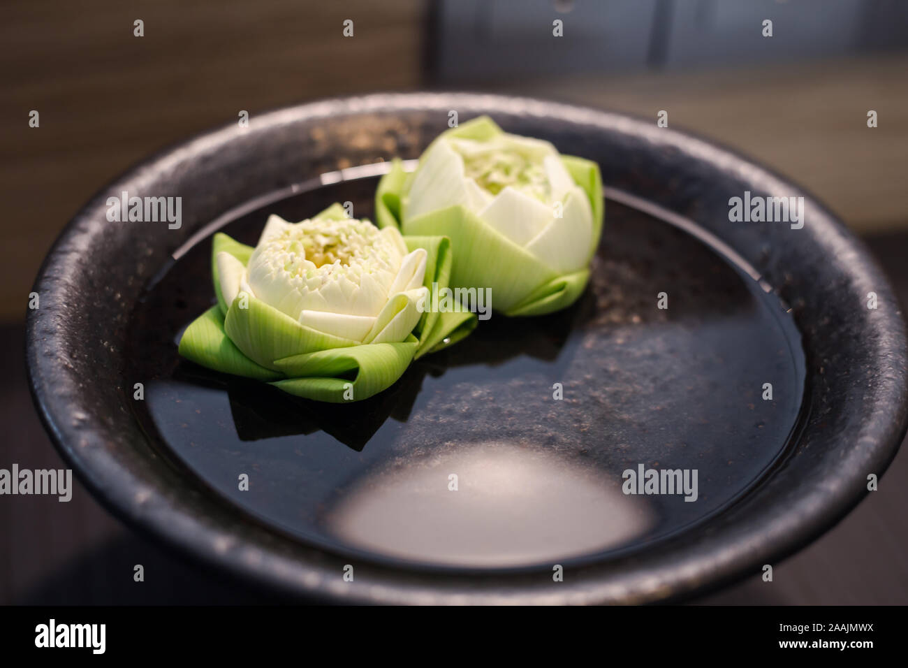 Twin White lotus on green leaves float on the water inside black bowl