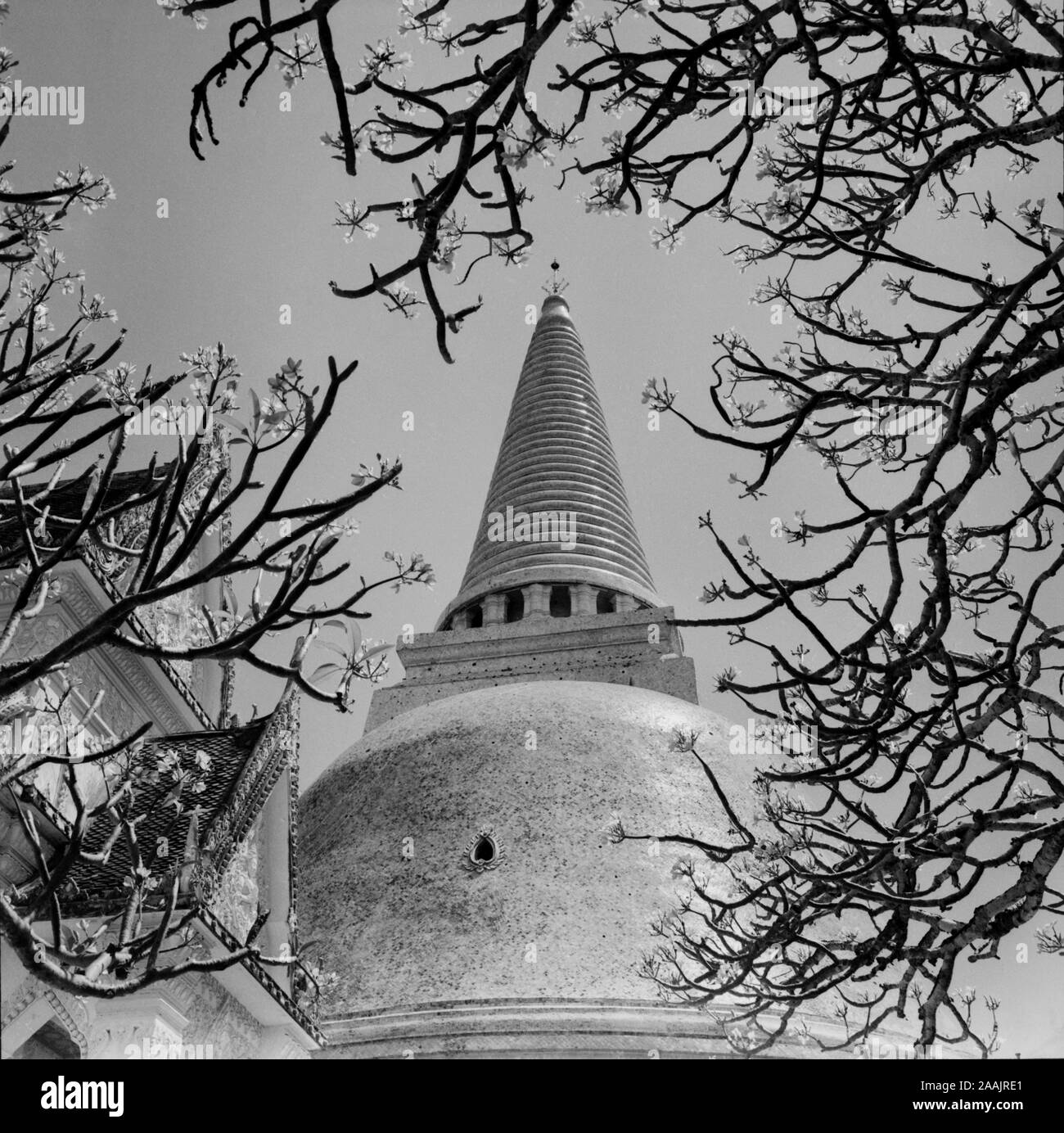 Old Pictures Showing The Being Of People In Nakhon Pathom Province Thailand At Phra Pathom Chedi Temple This Set Of Images Was Taken On January 2 1948 Stock Photo Alamy