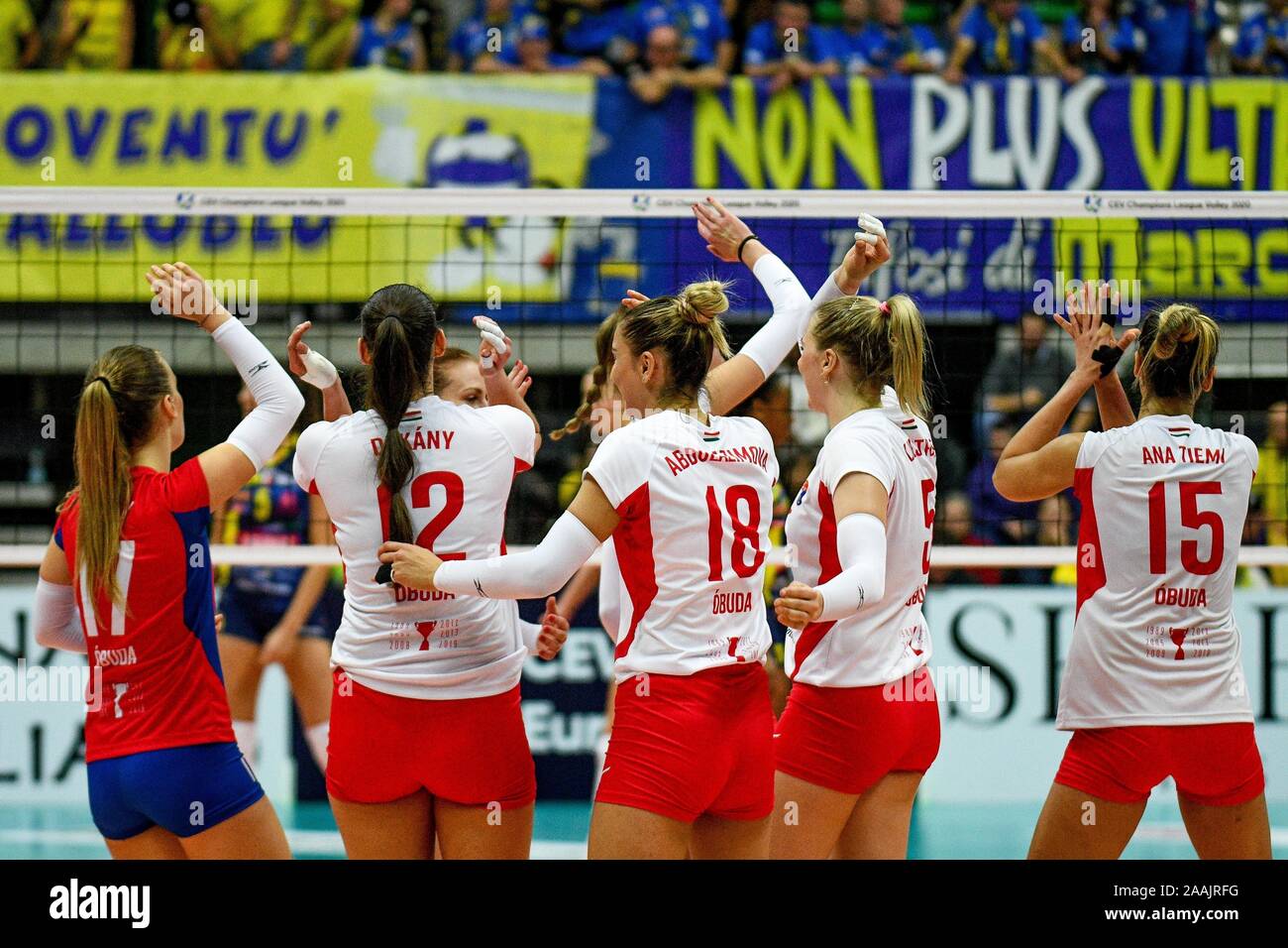 Treviso, Italy. 19th Nov, 2019. vasas obuda budapest during Carraro Imoco  Conegliano vs Vasas Obuda Budapest, Volleyball Champions League Women in  Treviso, Italy, November 19 2019 Credit: Independent Photo Agency/Alamy  Live News