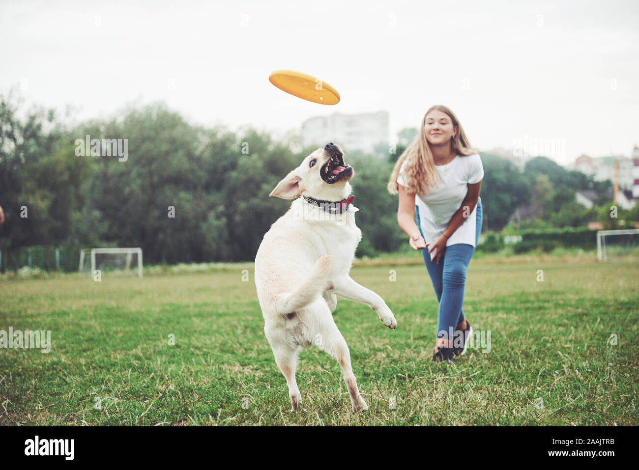 A beautiful girl playing with her beloved dog in the park Stock Photo ...