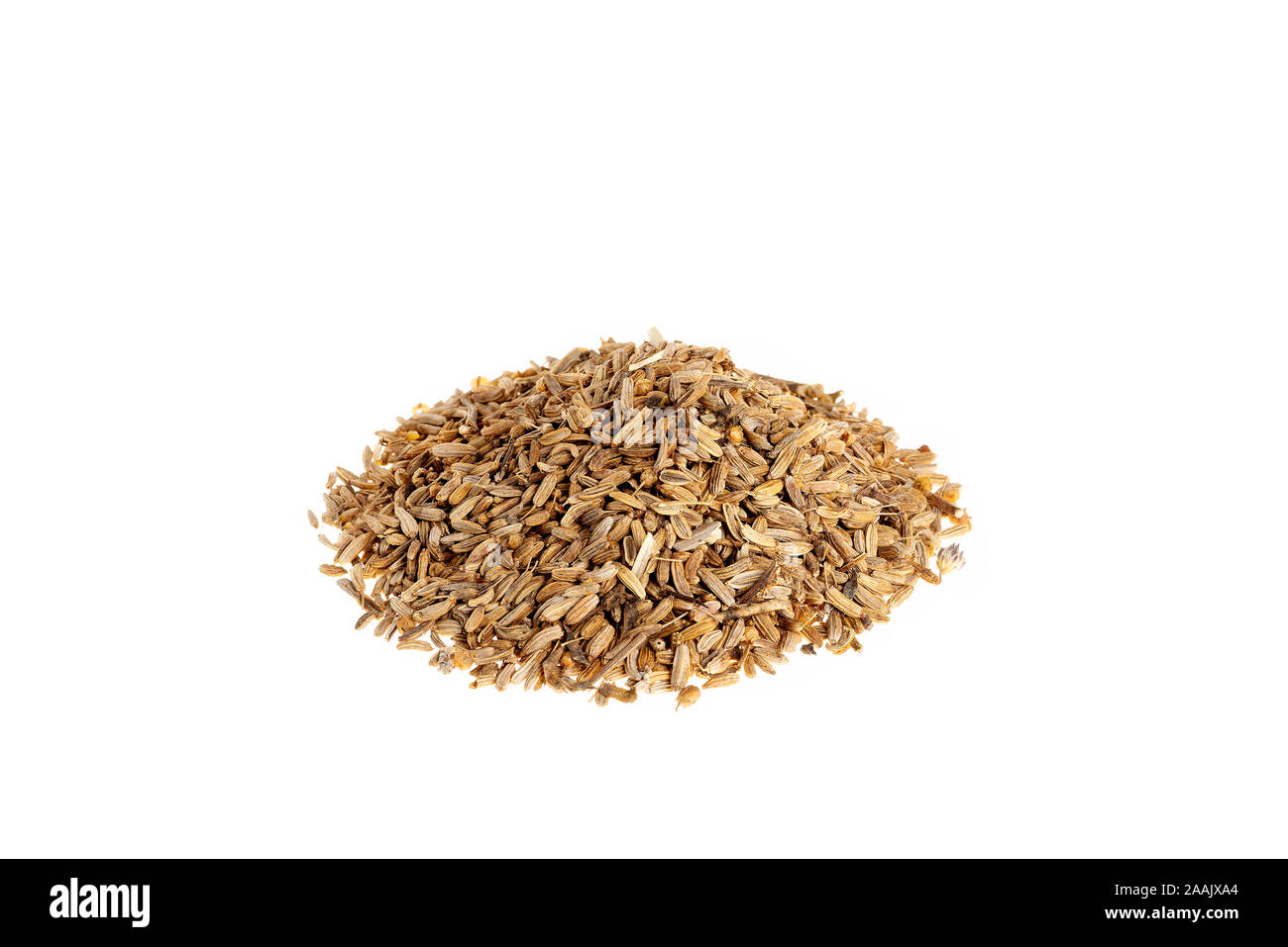 Pile of dried Fennel, Foeniculum vulgare seeds isolated on white