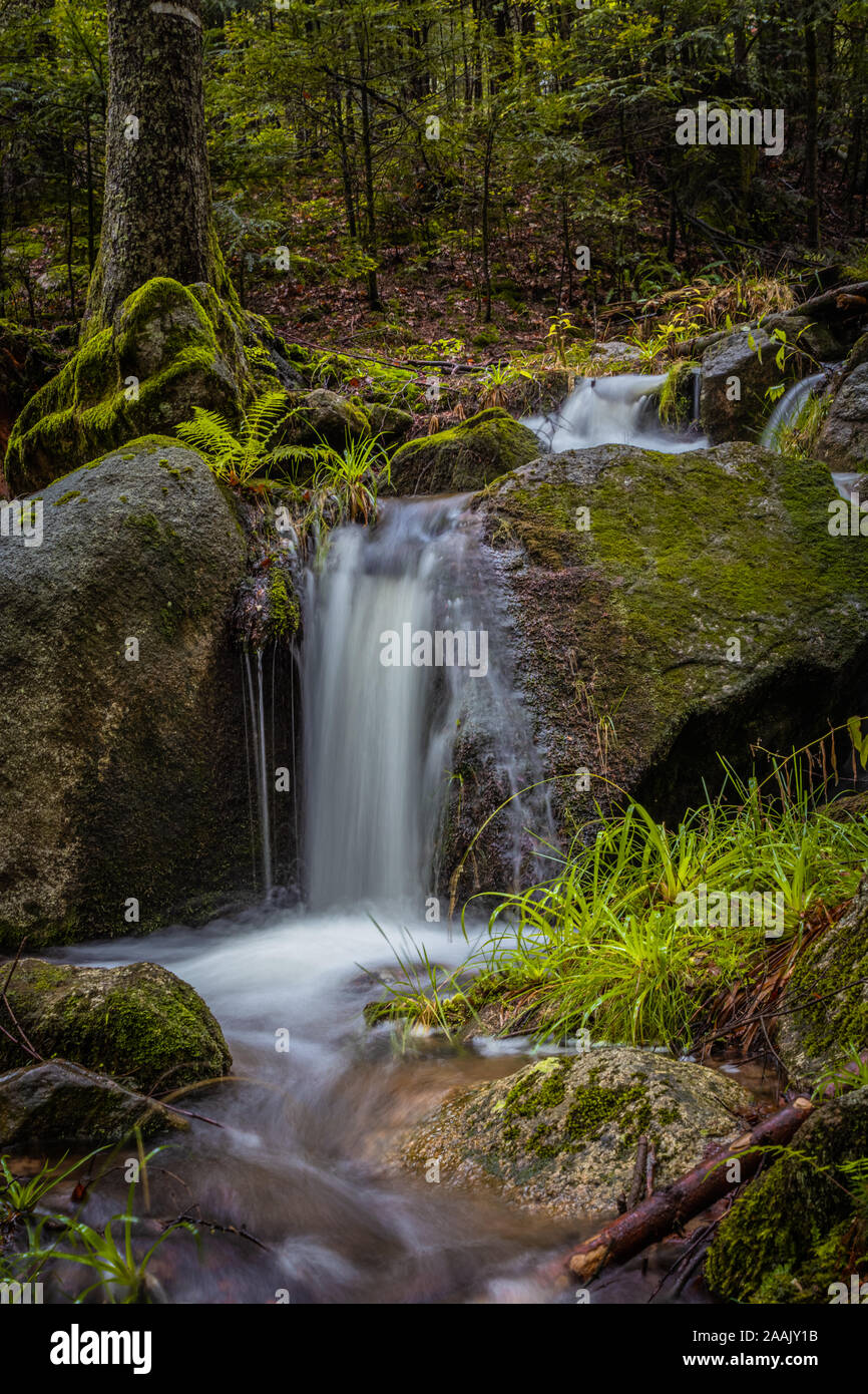 Forrest Rocks River and forrest rocks with visible movement and blur of the water ...