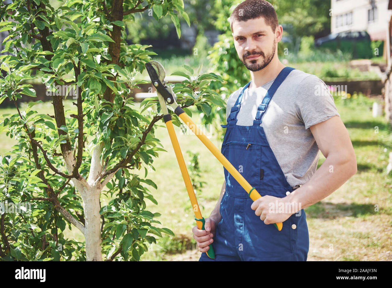 Taking cuttings hires stock photography and images Alamy