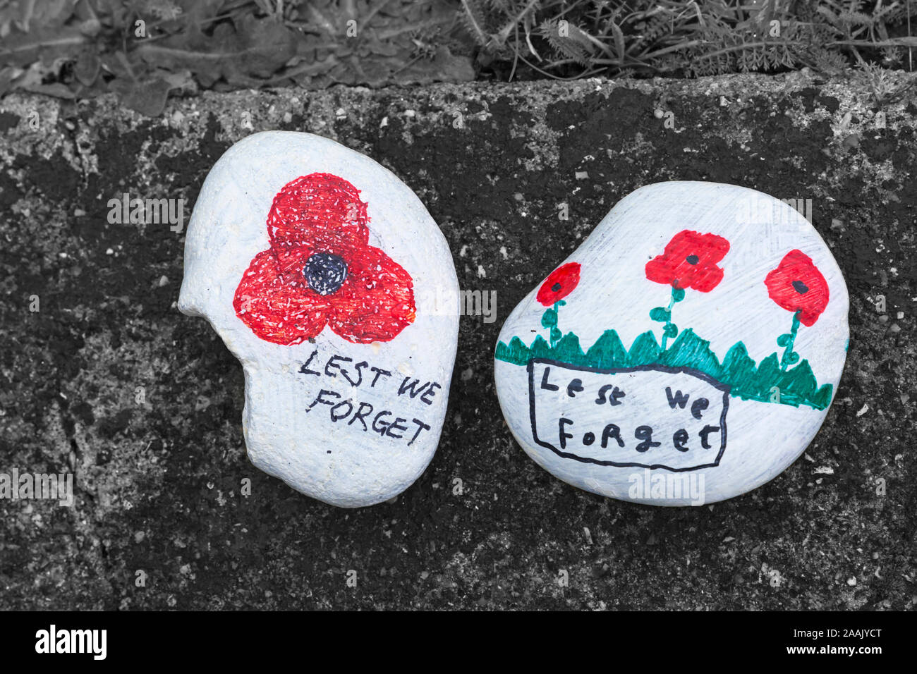 Pebbles stones hand painted for Remembrance day laid in a row leading