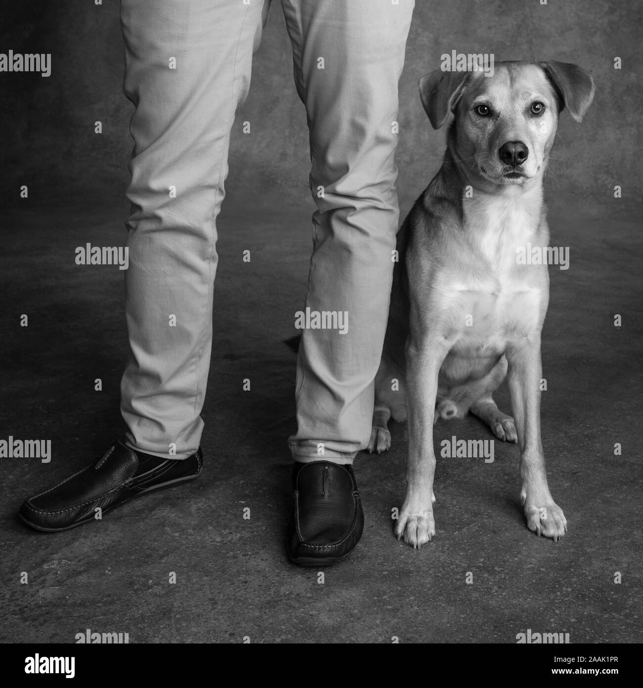 Man standing next to dog Stock Photo