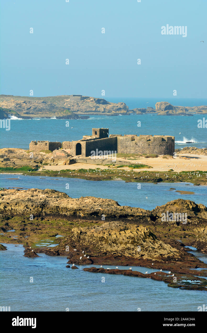 The fortified Mogador islands, the ancient Iles Purpuraires in front of Essaouira, where Romans and Phoenicians processed the murex and purpura shells Stock Photo